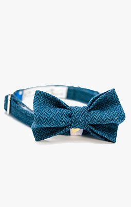 Bow Ties